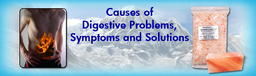 Natural Home Cures Himalayan Crystal Salt May Aid Digestion Natural Home Cures Himalayan Crystal Salt - Causes of Digestive Problems, Symptoms and Solutions